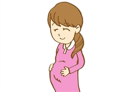 双子,妊娠,体重増加,腹囲,妊娠線